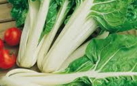 Chard