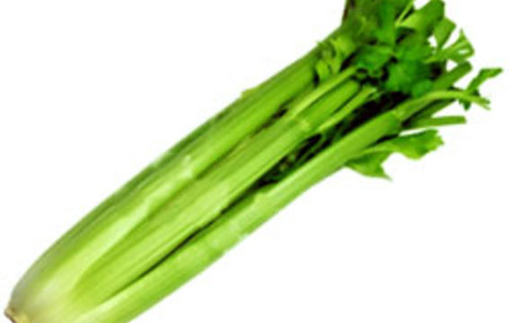 Celery