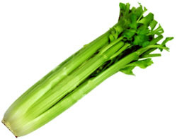 Celery - picture no. 1