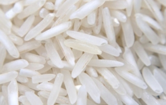Jasmine rice