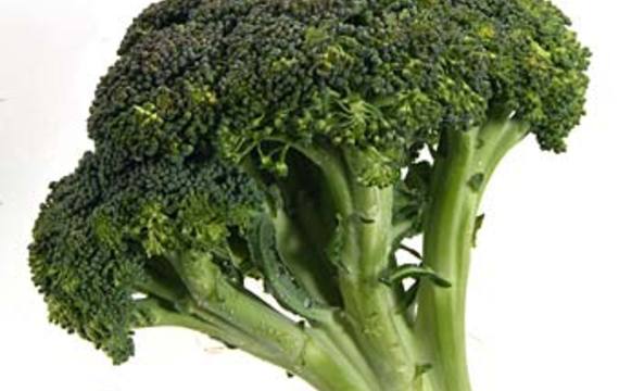 Broccoli