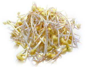 Soybean sprouts - picture no. 1