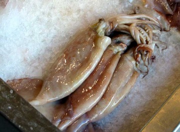 Calamari - picture no. 1