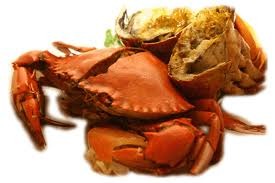 Crab - picture no. 1