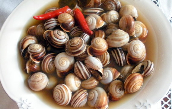 Snails