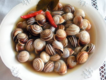 Snails - picture no. 1