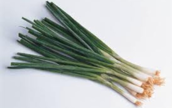 Spring onion