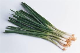 Spring onion - picture no. 1
