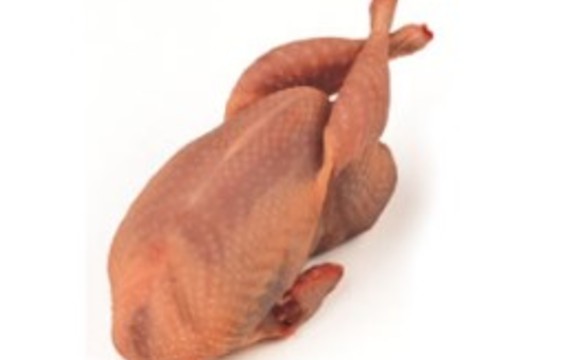 Quail