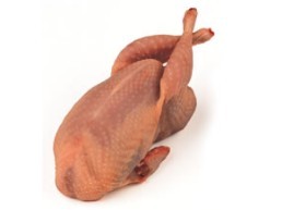 Quail - picture no. 1