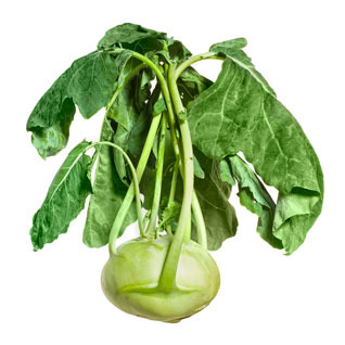 Kohlrabi - picture no. 1