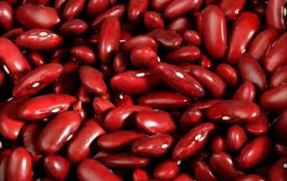 Beans