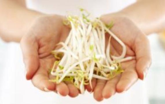 Bean sprouts