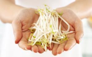 Bean sprouts - picture no. 1