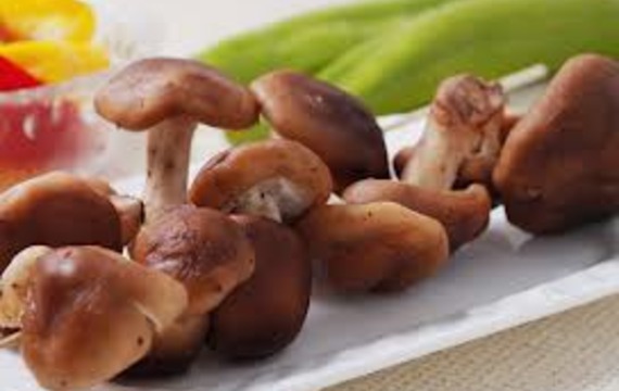 Chinese mushrooms