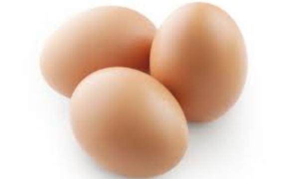 Egg