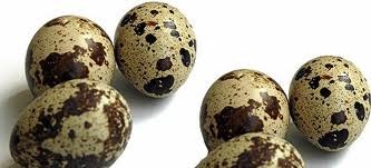 Quail eggs - picture no. 1