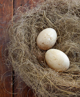 Duck's egg - picture no. 1