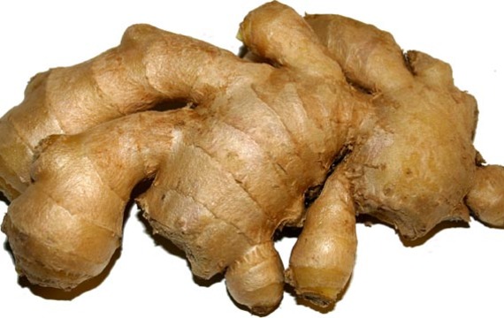 Ginger