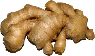 Ginger - picture no. 1