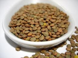 Lentil - picture no. 1
