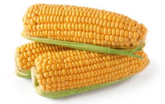 Corn