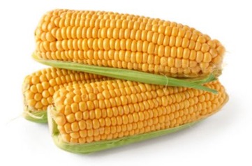 Corn - picture no. 1