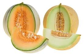 Melon - picture no. 1