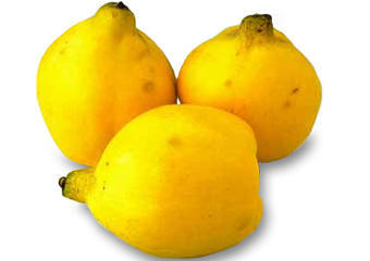 Quince - picture no. 1