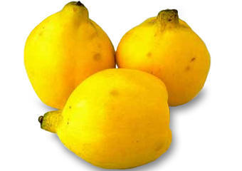 Quince - picture no. 1