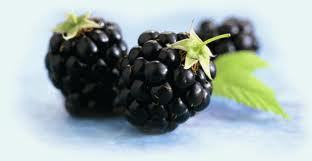 Blackberries - picture no. 1
