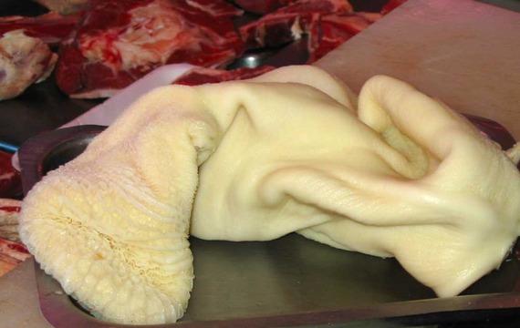 Tripe