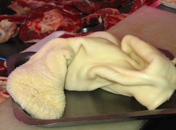 Tripe - picture no. 1