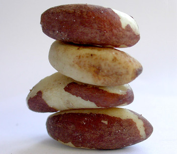 Brazil nuts - picture no. 1