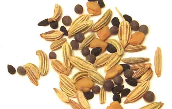 Panch phoron