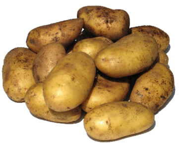 Potato - picture no. 1
