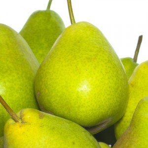 Pear - picture no. 1
