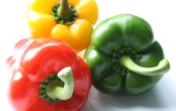 Capsicum