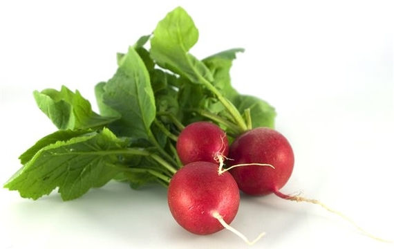 Radish