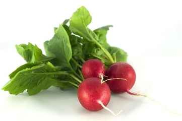 Radish - picture no. 1