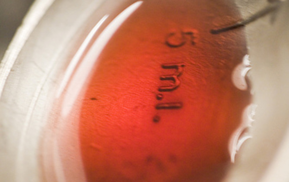 Raspberry vinegar