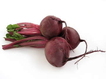 Beet - picture no. 1