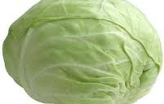 White cabbage