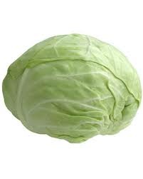 White cabbage - picture no. 1