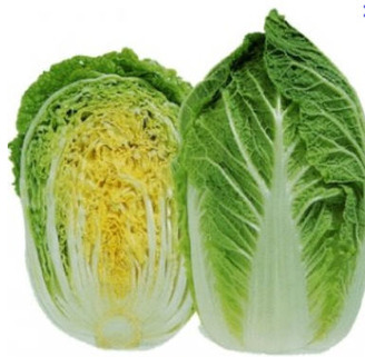 Peking cabbage - picture no. 1