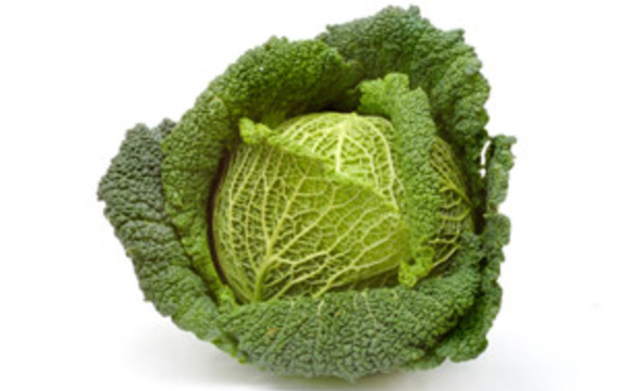 Savoy cabbage