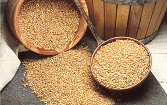 Buckwheat