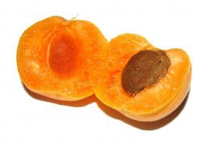 Apricot - picture no. 1
