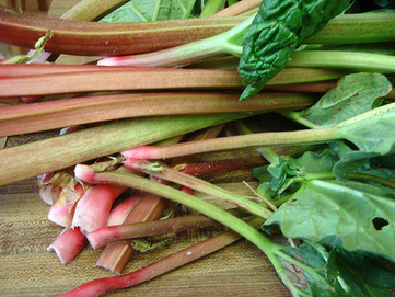 Rhubarb - picture no. 1