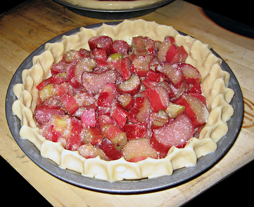 Rhubarb - picture no. 2